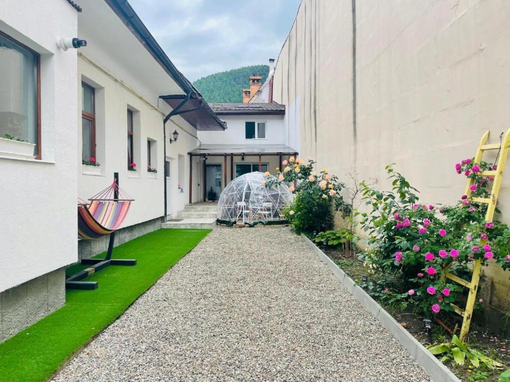 Schei Brasov-Скей Брашов Appartement Buitenkant foto